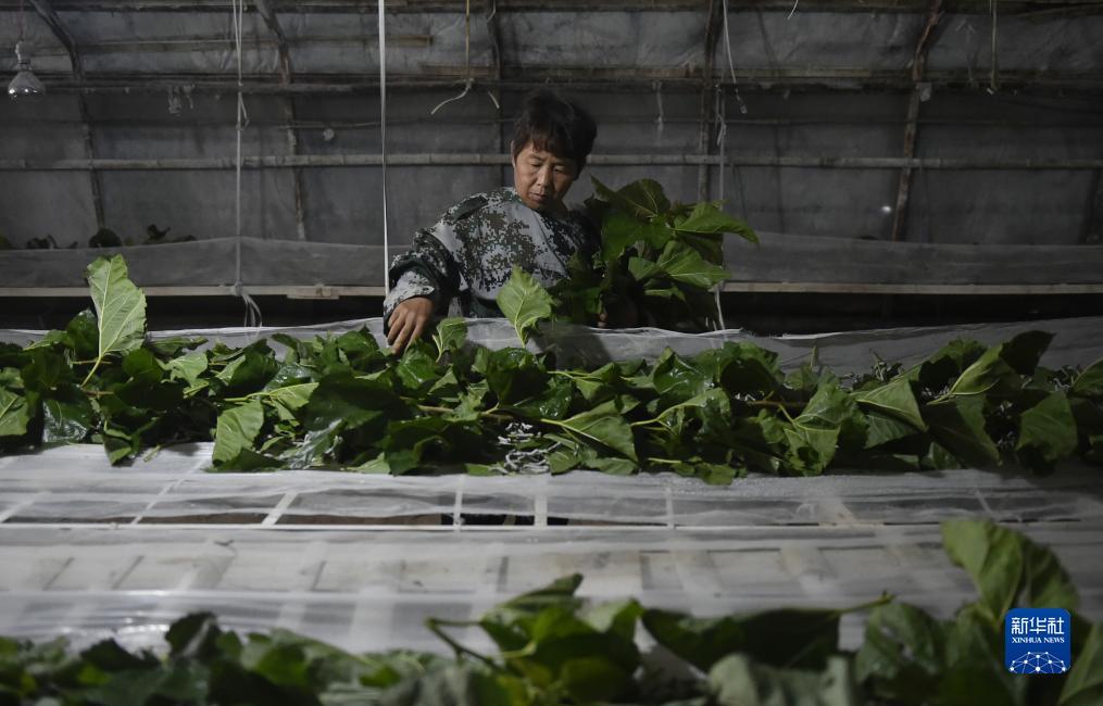 在银河不给提